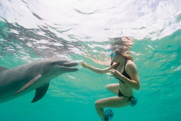 Luxury Dolphin House Cruise with Snorkeling and Lunch in Hurghada