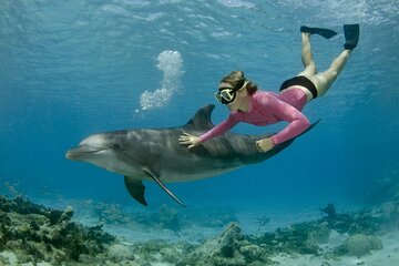 Dolphin House Cruise with water sports and Lunch in Hurghada