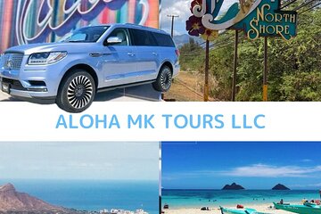 Private luxury 5hr Dole,Northshore,Waikiki Group priced tour 