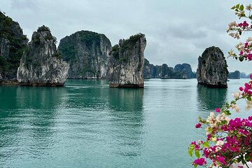 Discover Bai Tu Long Bay on an Overnight Cruises