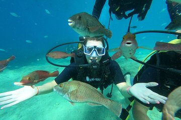 Tour in Alanya with Lunch and Guided Scuba Dives from Side