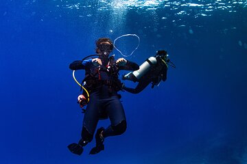 Two Tank Morning Reef Dive and Snorkel