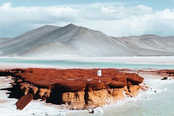 Red Stones, Altiplanic Lagoons and the Atacama Salt Flat