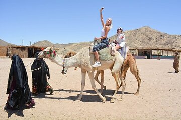 One-Hour Camel Riding Adventure with Transfer to Hurghada