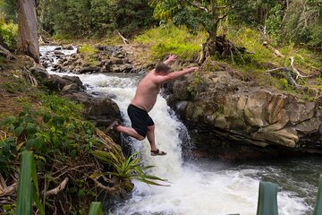 Small Group Waterfall and Rainforest Hiking Adventure on Maui