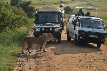 Two Days Masai Mara Private Safari Tour From Nairobi