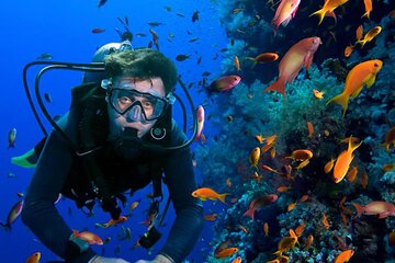 Open Water PADI Course Diving Discovery Red Sea - Hurghada