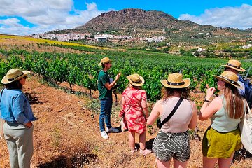 Malaga Small Group Tour with Wine tasting, Culture & Vineyard