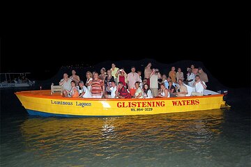 Luminous Lagoon Night Tour from Montego Bay