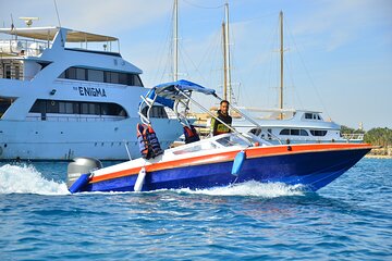 Private Speedboat to Dolphin House with Water Sports Hurghada