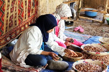 Berber Cooperatives and Pottery Experience