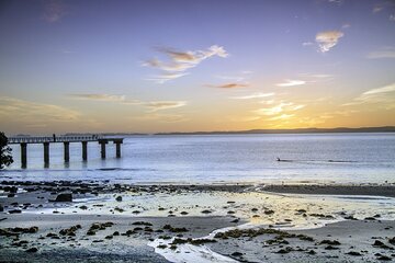 Auckland Full Day Small Group Guided Tour