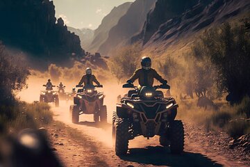 3 Activities in 1 Package Quad Bike, Camel Ride and Horse Riding
