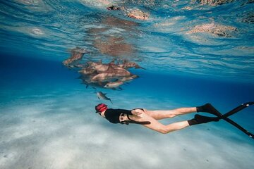 Snorkeling at Sataya Dolphin House With Lunch​​​​ - Marsa Alam
