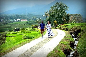 Jatiluwih Rice Terace & Swing Tour