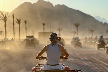 Sharm El Sheikh: ATV, Camel Ride with BBQ Dinner and Show