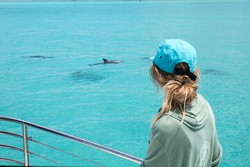 Biologist Owned & Operated: Dolphin Watching & Guided Snorkeling