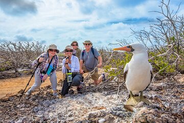 YACHT ISABELA II SEABIRD SANCTUARY EXPEDITION (Mon - Fri)