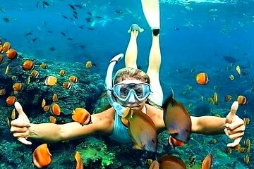 Amazing Snorkeling at Blue Lagoon