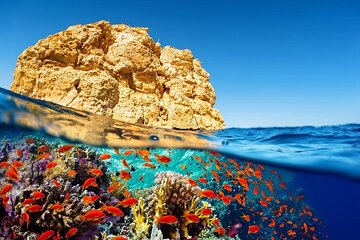  White Island Snorkeling and Ras Mohamed Sharm ElSheikh Boat Trip