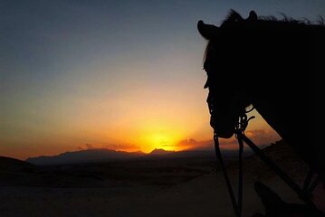 Horse Riding Adventure Along Hurghada's Beach and Desert 