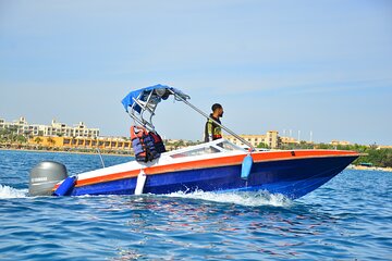Private Speed Boat & Swim With Dolphins & Water Sports-hurghada