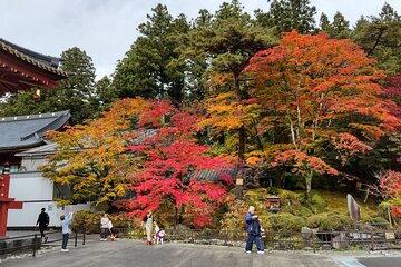 Full Day Nikko Private tour with Certified Japanese Guide