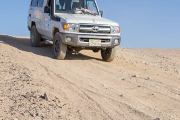 Discovery Safari Hurghada ATV & Buggy Car & Jeep with Camel Ride