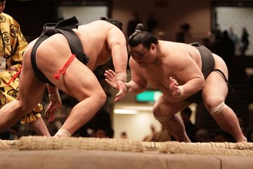 Sumo Wrestling Tournament A-Class Seats & ExpertGuide | Tokyo MAY