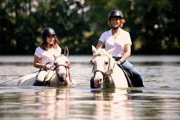 Horseback Riding in Prague