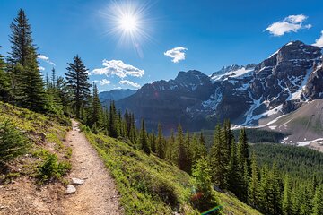 Private Tour of Banff & Yoho Parks, Moraine Lake, Emerald Lake