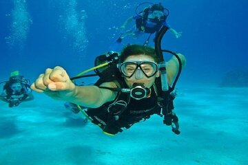 Ras Mohamed and White Island Snorkeling & Diving-Sharm El Sheikh