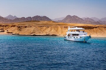 Ras Mohamed and White Island Snorkeling & Diving-Sharm El Sheikh