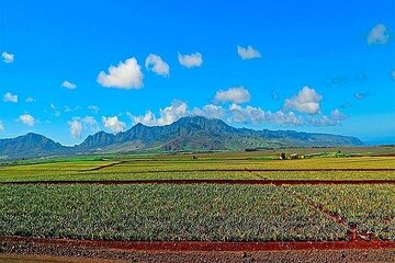 Oahu Grand Circle Island Experience Departing from Maui