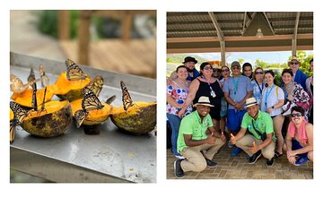 Puerto Plata Guided Tour with Butterfly Garden