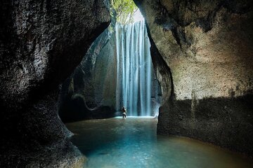 Full Day Private Tour in Ubud with Temple and Waterfalls Visit