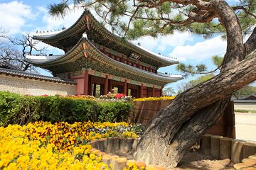 Authentic Korea 6days tour Western side of Korea