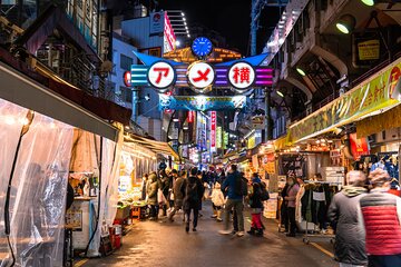 Food Tour in Ueno's Ameyoko Market at Night