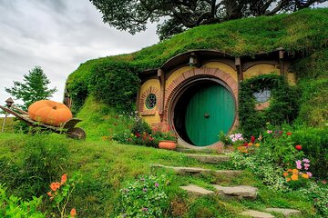 Private dayTour Hobbiton & Rotorua & Redwood forest from Auckland