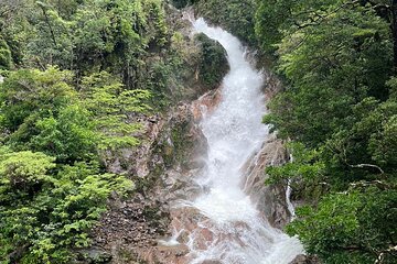 Miravalles Volcano: Rain Forest hike+Hanging bridges+Hot springs