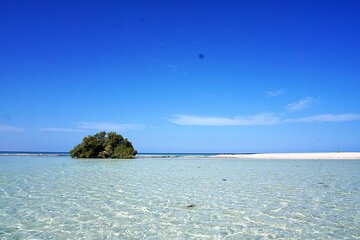 Hamata & Qulaan Islands Snorkeling Sea Trip With Lunch and Transfer - Marsa Alam