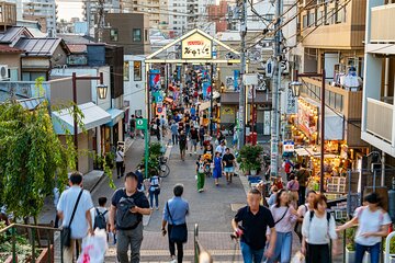 Tokyo Walking Tour of Historic Shopping Streets