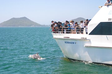 Port Stephens Experience: Incredible Adventure, Wild by Nature
