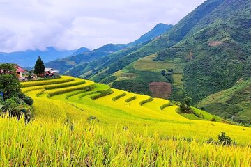 Private 6-Day Tour to Fansipan, Bac Ha Market and Terraced Fields