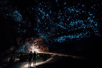 Private Tour Waitomo Caves from Auckland 