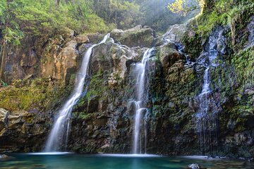 8 Hour Private Jungle Waterfall Tour from Maui