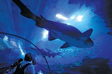Kuala Lumpur Aquaria Ticket and Aquarium Experience