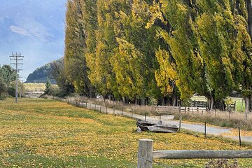 Full Day Sightseeing Tour To Discover Queenstown's Scenic Wonder 