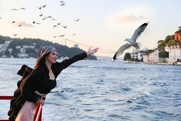 2 Hours Bosphorus Cruise Boat Tour in Istanbul