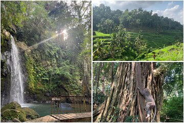 Monkey Forest Ubud Half day Tour